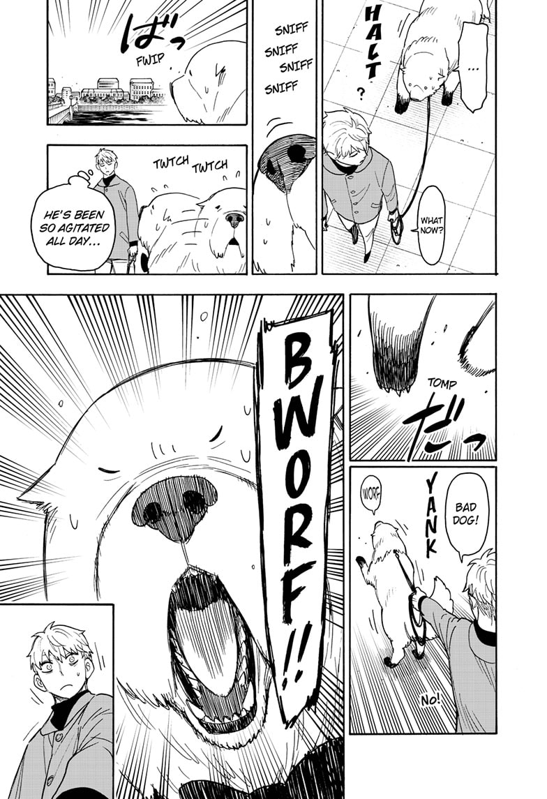 Read SPY×FAMILY ES Manga Online