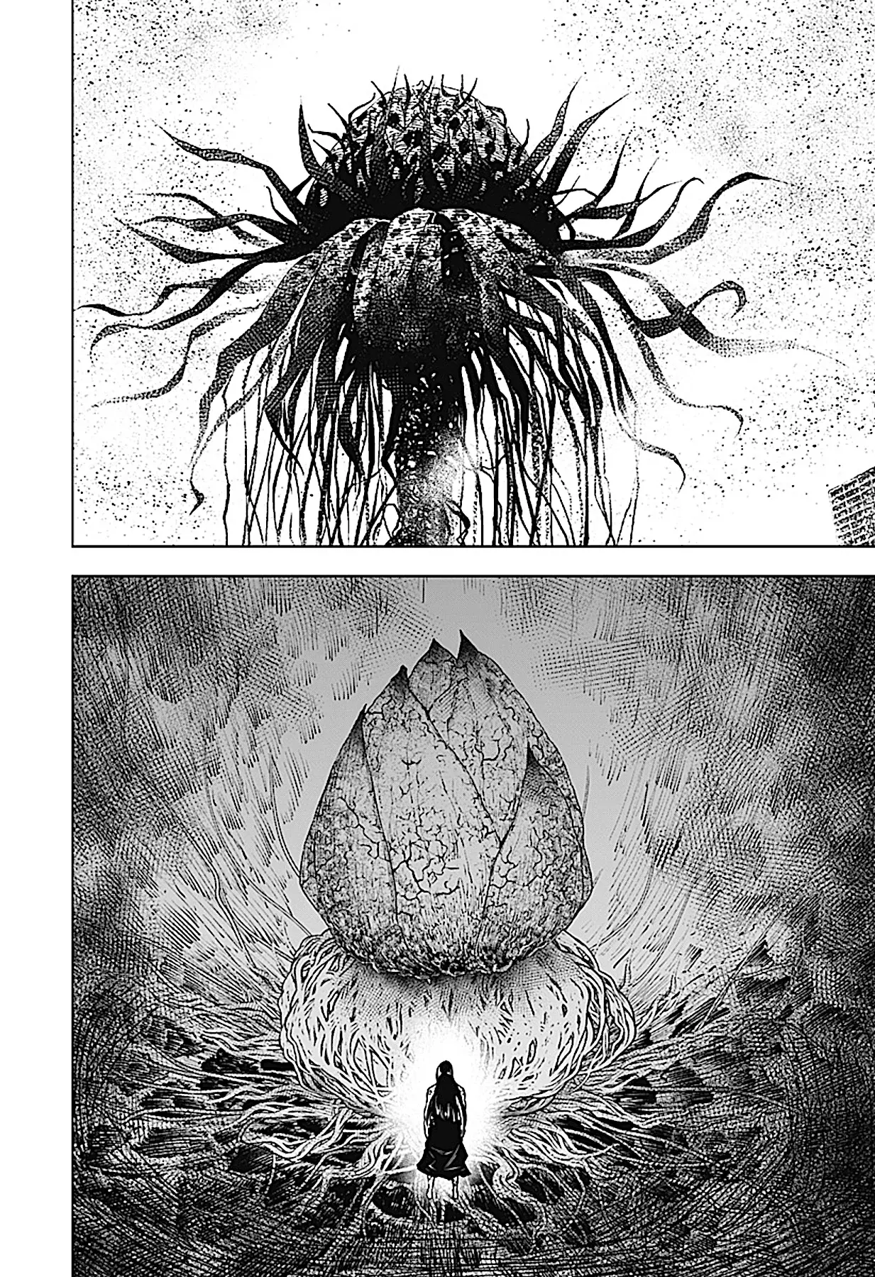 Read Wild Strawberry ES Manga Online