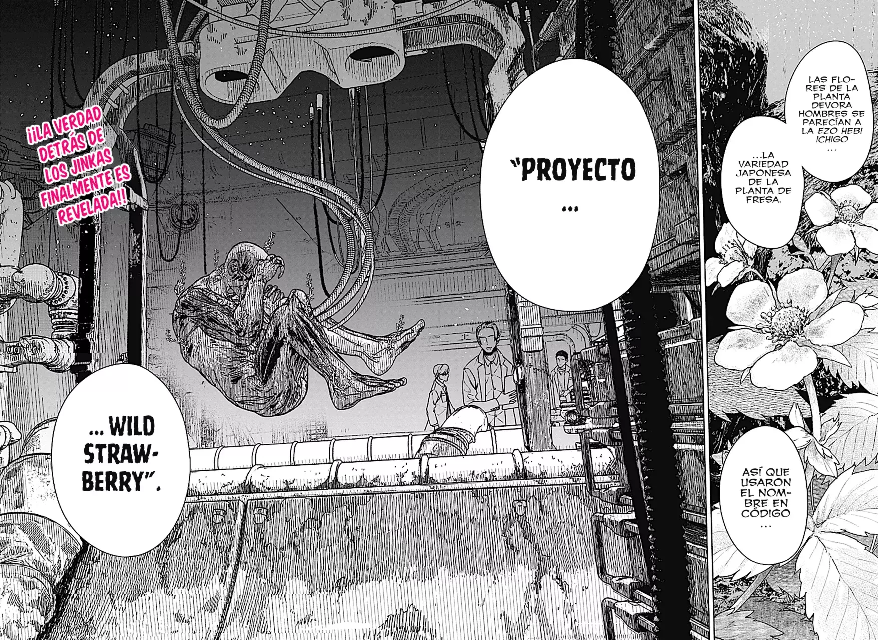 Read Wild Strawberry ES Manga Online