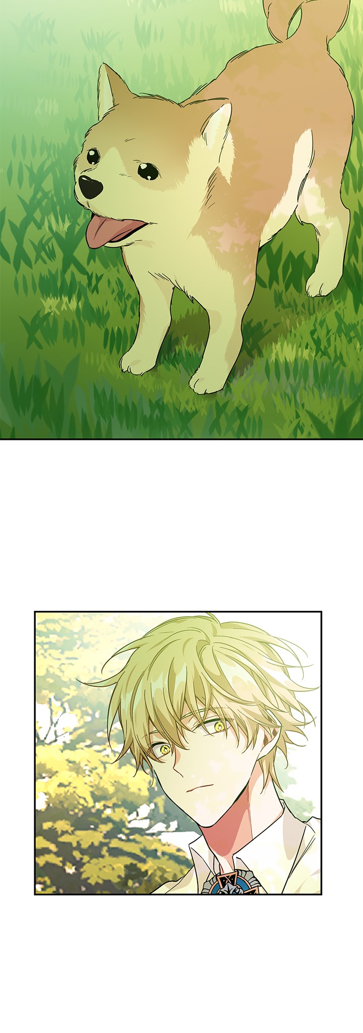Read Doctor Elise FR Manga Online