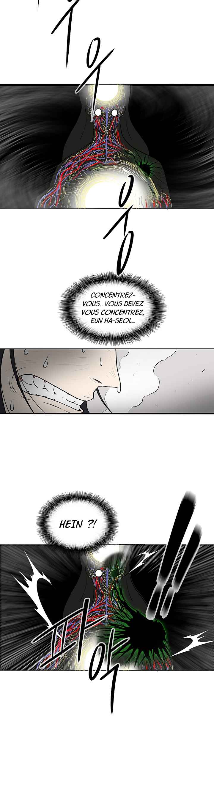 Read Legend of the Northern Blade FR Manga Online