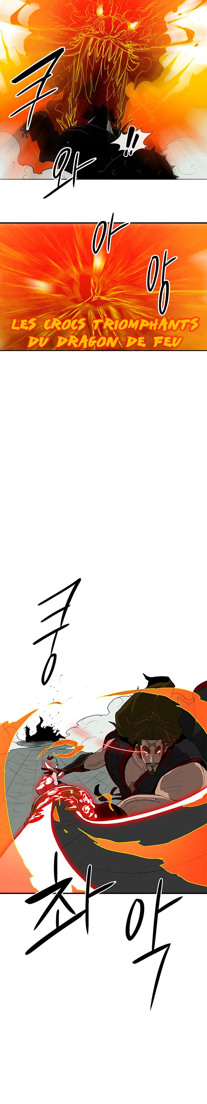 Read Legend of the Northern Blade FR Manga Online