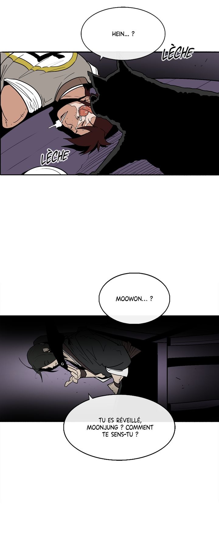 Read Legend of the Northern Blade FR Manga Online