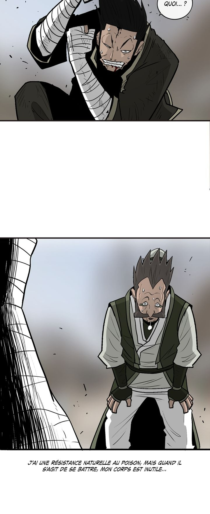 Read Legend of the Northern Blade FR Manga Online