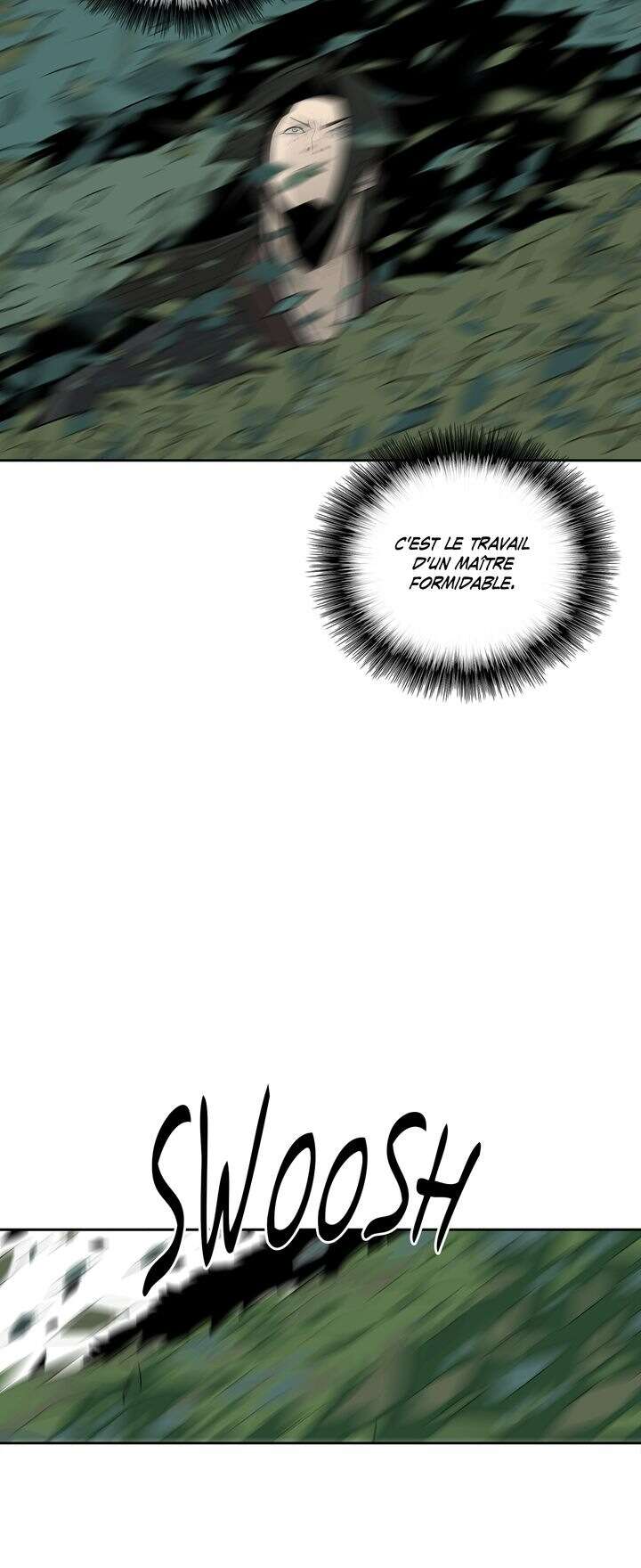 Read Legend of the Northern Blade FR Manga Online