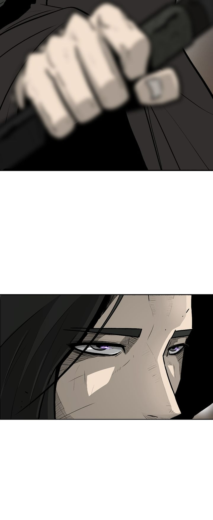 Read Legend of the Northern Blade FR Manga Online