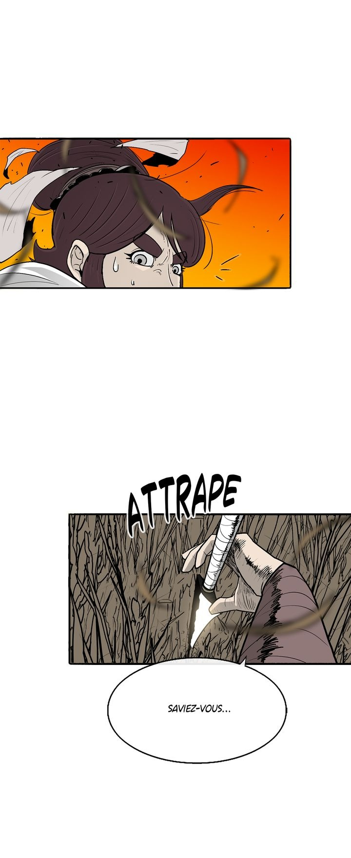 Read Legend of the Northern Blade FR Manga Online