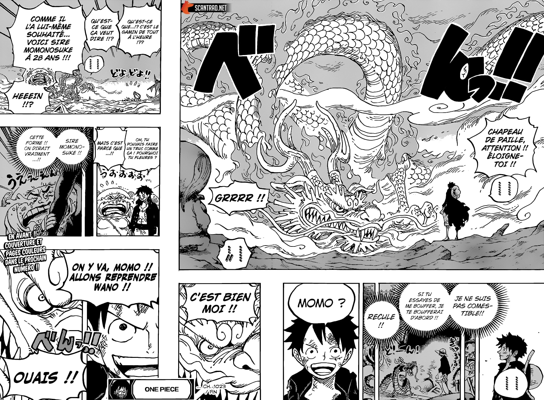 Read One Piece FR Manga Online