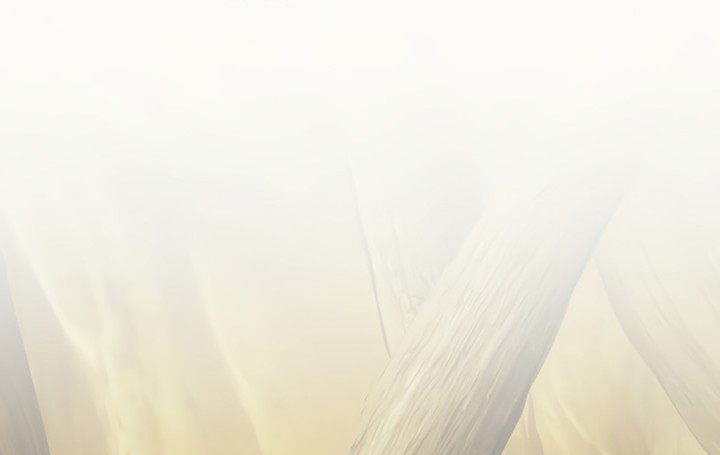 Read Solo Farming In The Tower FR Manga Online