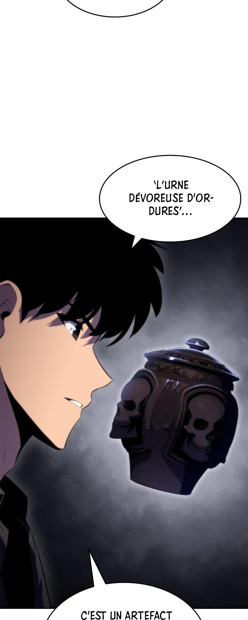Read Solo Max-Level Newbie FR Manga Online