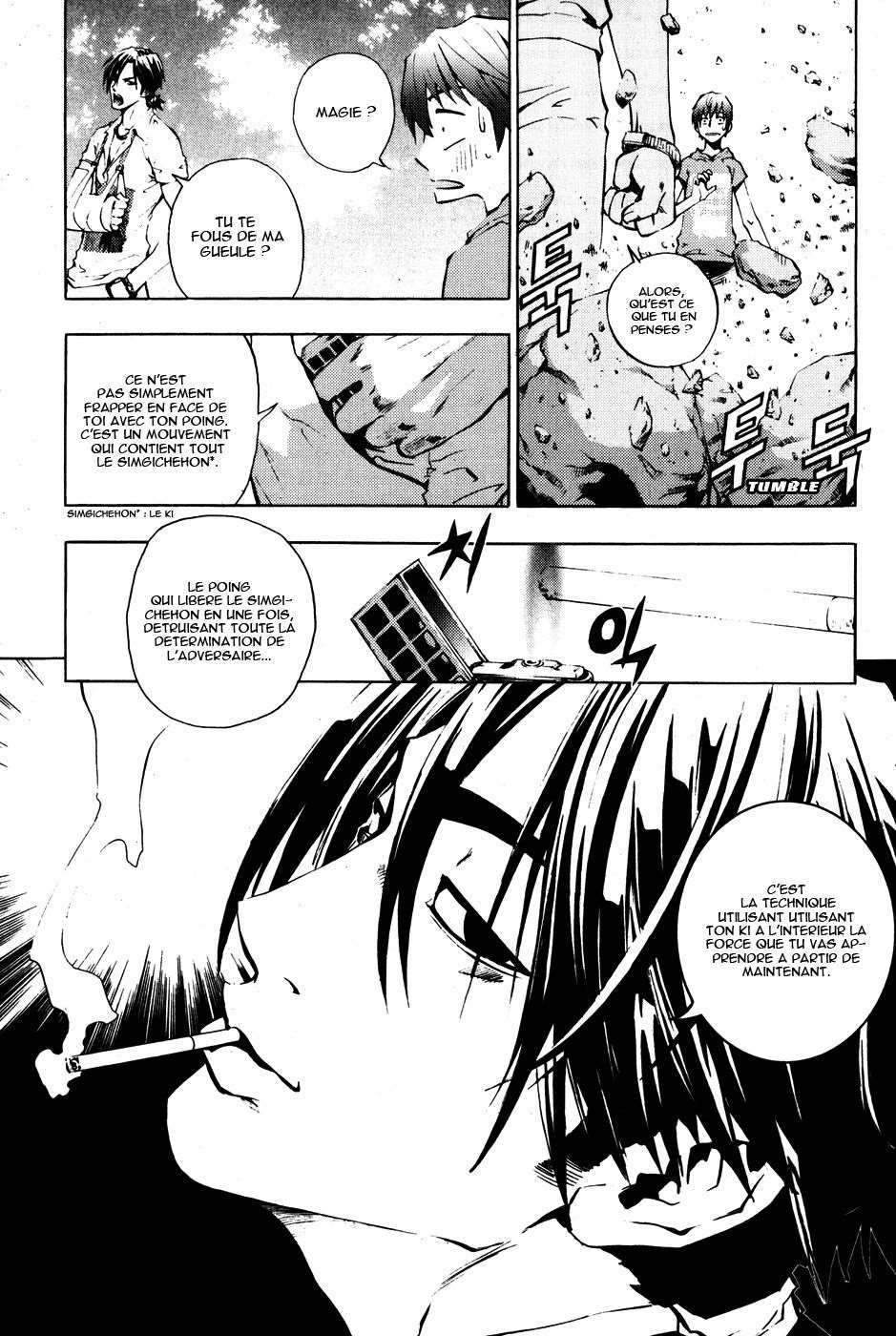 Read The Breaker FR Manga Online