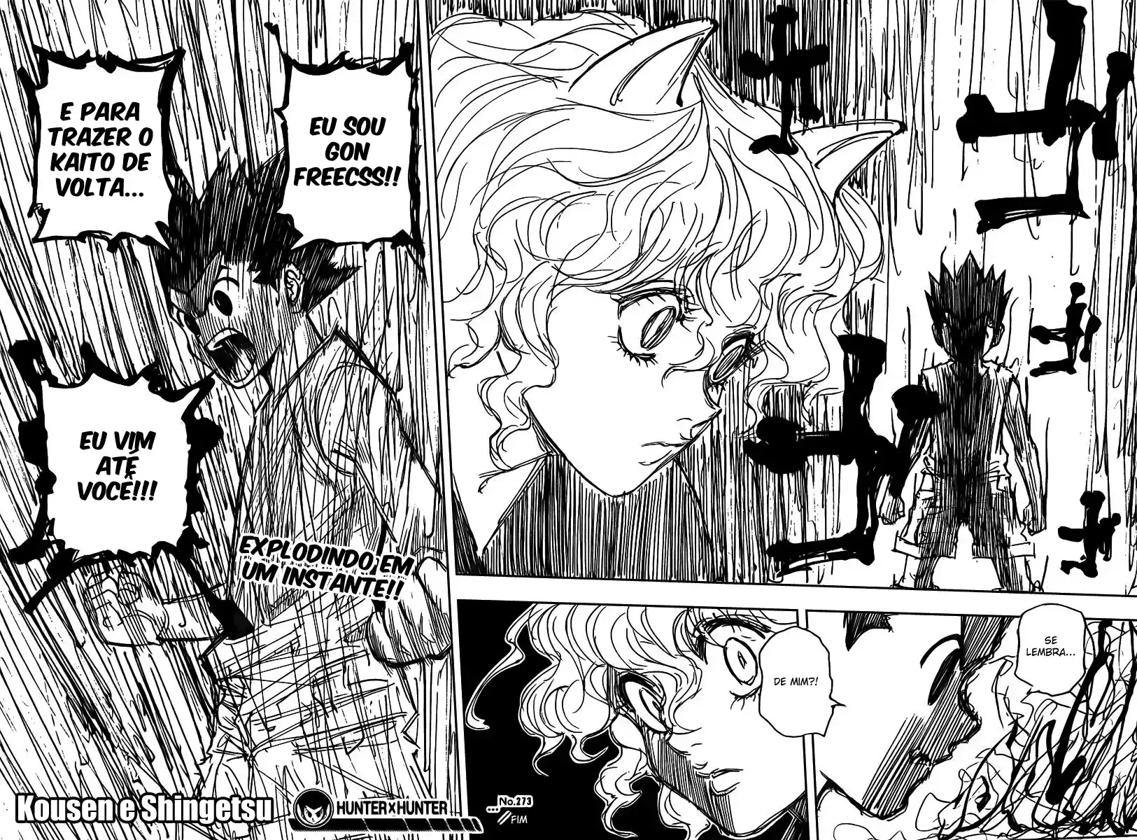 Read Hunter x Hunter PT Manga Online