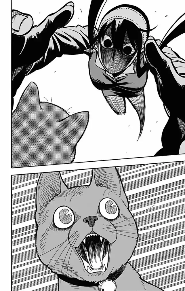 Read Spy X Family pt Manga Online